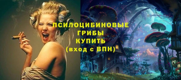 Альфа ПВП Алзамай